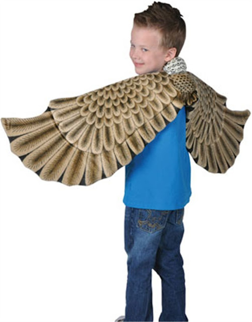 Bird Costume Wings