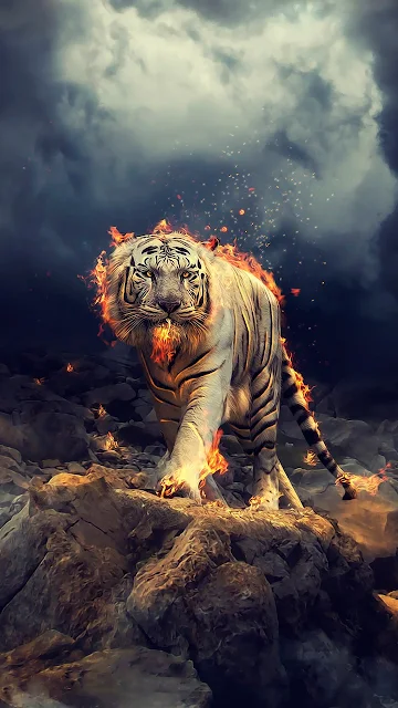 Fantasy Siberian Fire Tiger Mobile Wallpaper. Size: 720x1280.