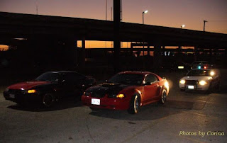 Two Ford Mustangs with Police Car