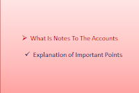 What is Notes to the Accounts