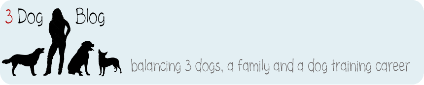 3 Dog Blog