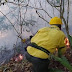 Se registran incendios forestales en Barahona; bomberos están trabajando para sofocarlos