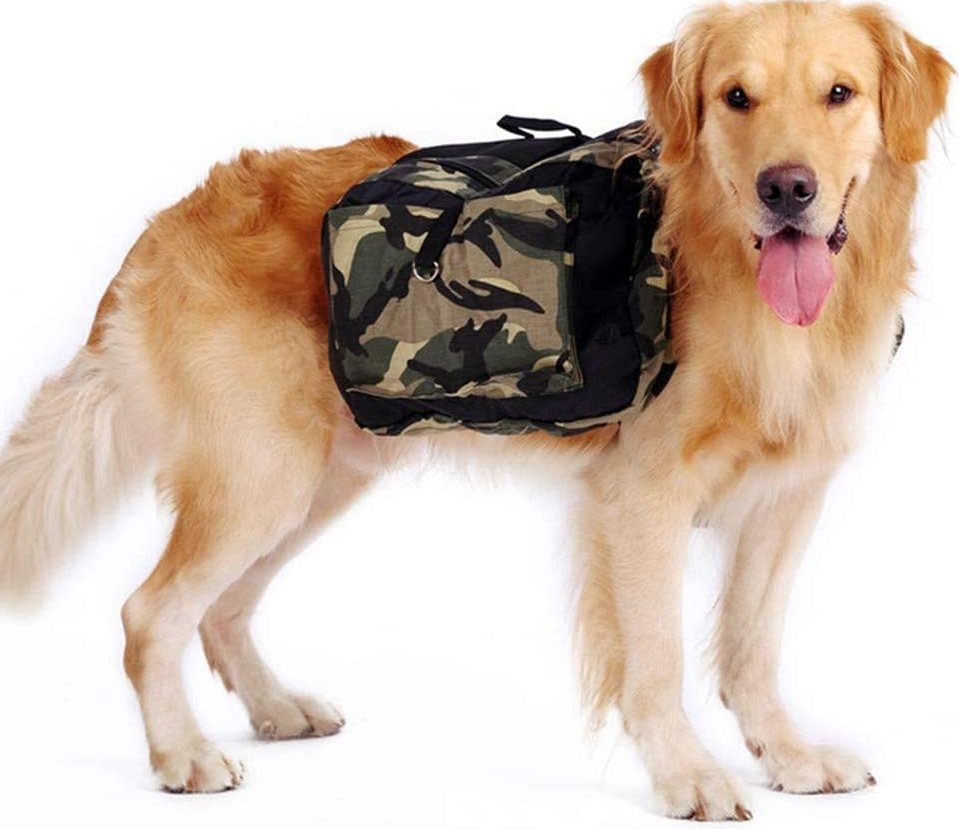 The Best Backpacks For Dogs