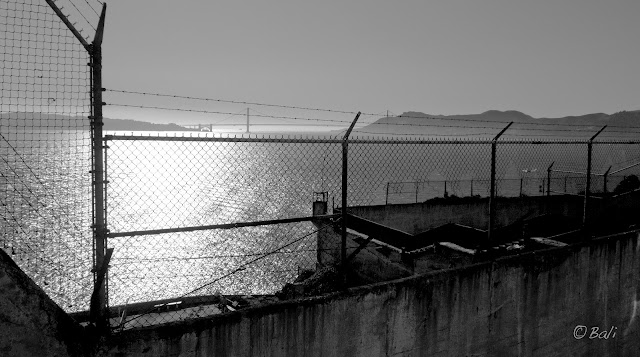 Isla de Alcatraz. Puente Golden Gate. Bahía de San Francisco, USA, EEUU, Estados Unidos