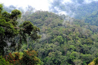 Wisata Taman Nasional Bukit Barisan Selatan