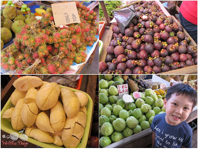 Fruits everywhere...rambutans (the hairy one, top left), mangostene, durians and guavas