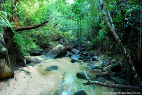 Penang National Park