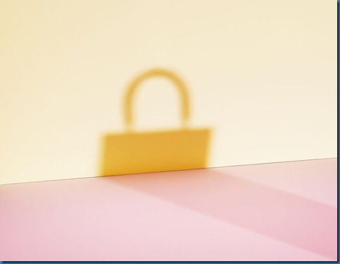 Lady-Dior-new-bag-7