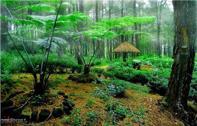 alt WISATA ALAM CURUG SINOMAN (SINOM INDAH)