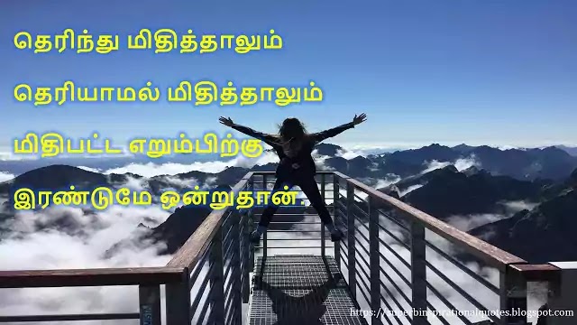 Happiness Quotes in Tamil 114