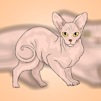 Play Games2Jolly Sphynx Cat Escape