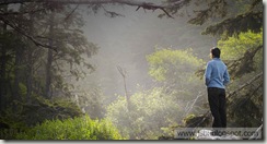 Forest_ROW1370166796