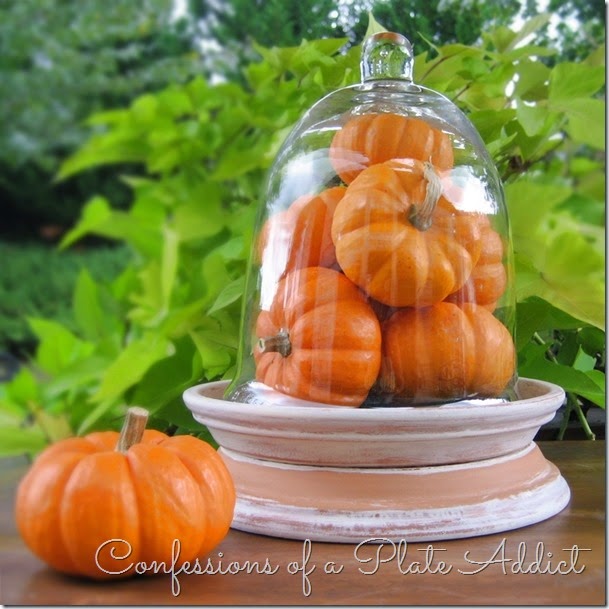 CONFESSIONS OF A PLATE ADDICT Rustic Terracotta Cloche Base