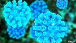 _78143731_hepc