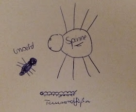 gezeichnete Skizze von Insekt, Spinne und Tausenfüßer