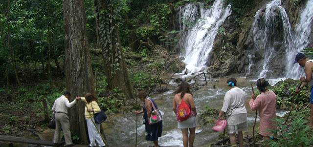 Selva de palenque Chiapas