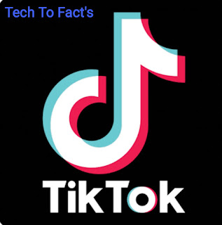 How did Tik Tok start?