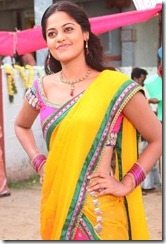 Desingu Raja Actress Bindu Madhavi Saree Photos