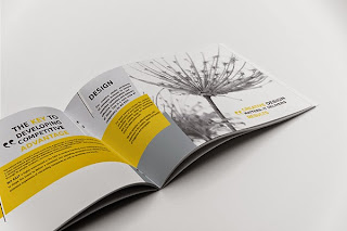 brochure diseño creativo