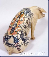 tattoos-on-pigs04