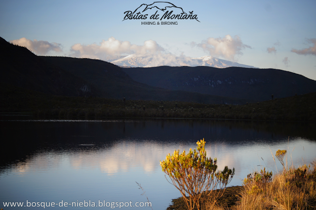 Nevado del Tolima