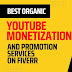 Best YouTube Monetization & Promotion Services on Fiverr