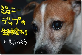 今日カズ１０１０２６　３