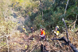 Equipe da Defesa Civil de Teresópolis combate incêndio