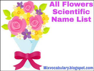 flowers scientific name list