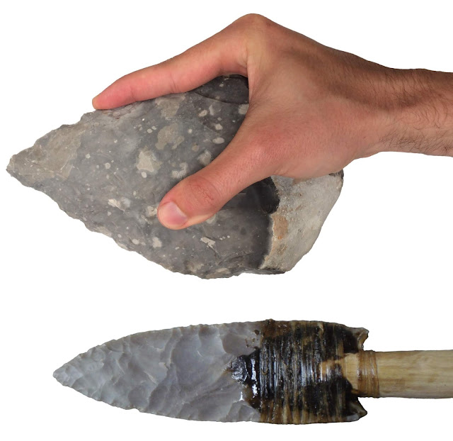  This query is the get-go to link a rock tool production technique known equally  For You Information - Stone tools give away modern human-like gripping capabilities 500,000 years ago
