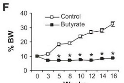 Butyric Acid: an Ancient Controller of Metabolism, Inflammation and Stress Resistance?