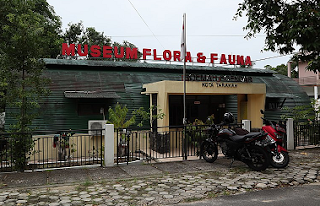 Museum Flora Dan Fauna Tarakan  