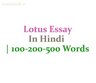 Lotus Essay In Hindi | 100-200-500 Words