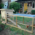 Make a Green Roof Chicken Coop For Looped Ecosystem and Self-sustainability