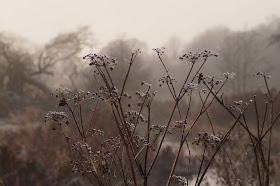 Norfolk countryside landscape photographs 2015