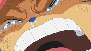 ワンピースアニメ パンクハザード編 614話 チョッパー Tony Tony Chopper | ONE PIECE Episode 614