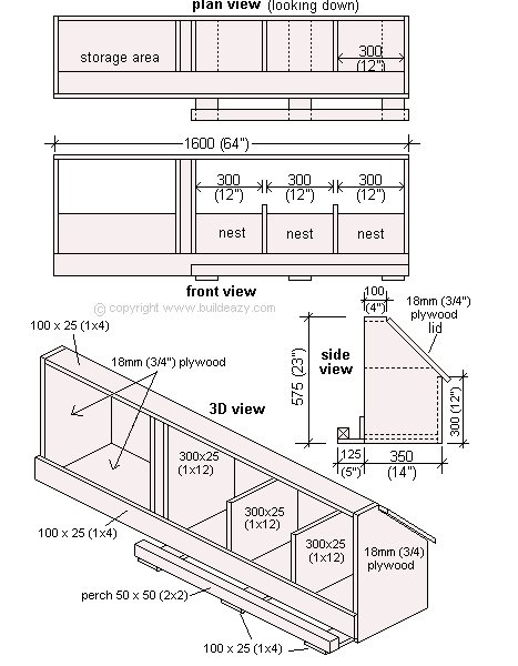 The Blue Eyes Have It: Project Chicken Coop