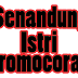 Lirik Lagu Senandung Istri Bromocorah (KPJ)