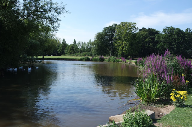 Picnic in the Park - Stewart Park Middlesbrough