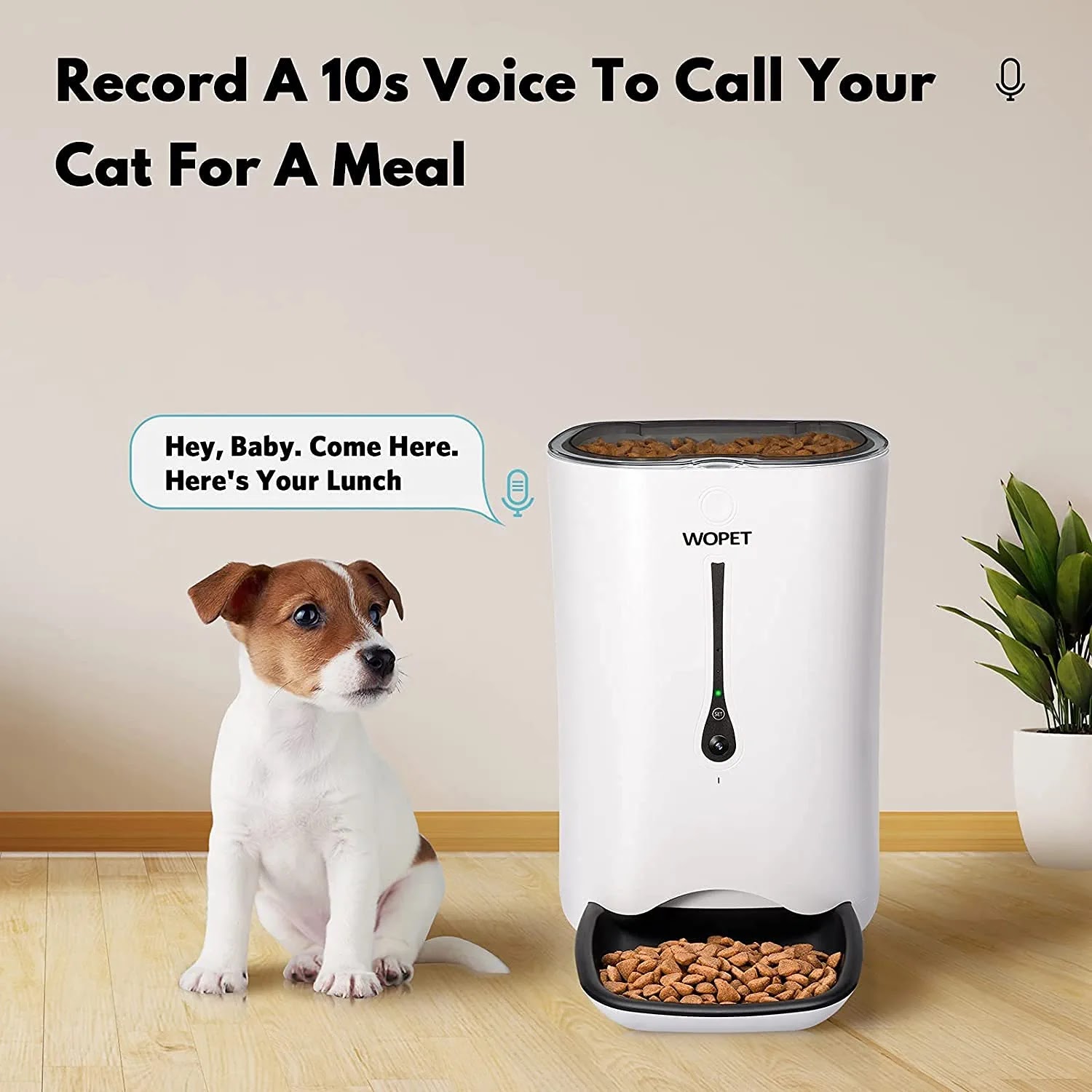 Automatic Dog Feeder with Camera and Voice Recorder