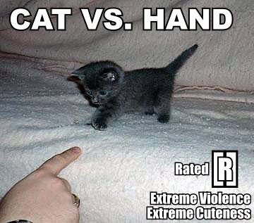 cat vs hand Lolcat Lolcatz Lowlcaz art graphics,