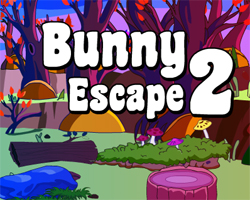 Solución Bunny Escape 2