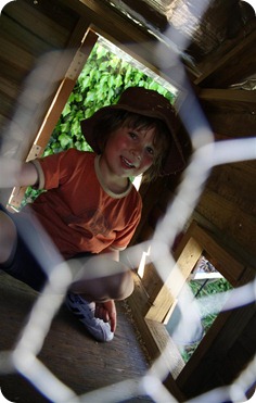 IMG_2557 (Large)