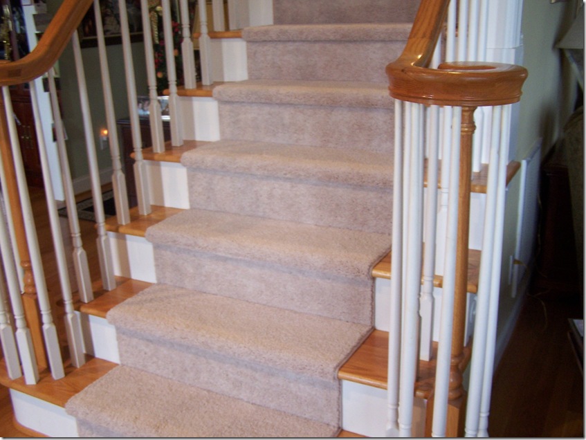 Carpet 007