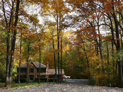 Fall colors and trees in Northern Virginia