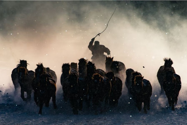 The Winners of the National Geographic Travel Photographer Awards of 2016