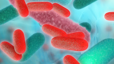 Can Gut Bacteria Unlock Rheumatoid Arthritis? - El Paso Chiropractor