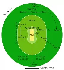 Where should Tall fielder be placed in cricket?