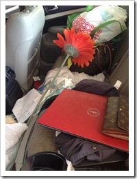photo 2 (2)