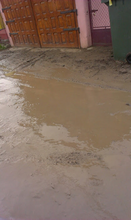 Strada Stadionului, cartierul Iţcani, municipiul Suceava